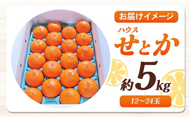 【 小豆島 】 ハウスせとか 約５kg 柑橘 せとか 瀬戸香 ハウス 果物 フルーツ くだもの 瀬戸内 くだもの 国産 香川 香川県 土庄 土庄町 