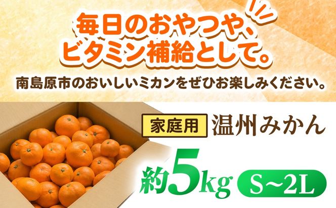 【11月末〜発送】温州みかん 5kg （S〜2L） / みかん ミカン 蜜柑 フルーツ 果物 旬 先行予約 柑橘 産地直送 家庭用 国産 / 南島原市 / 株式会社マルハチ[SFG004]