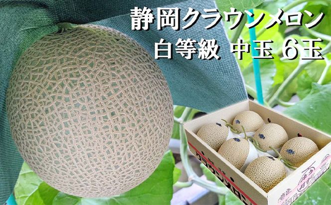 クラウンメロン【並（白等級）】中玉（1.3kg前後）6玉入り 人気 厳選 ギフト 贈り物 デザート グルメ 果物 袋井市 果物類 メロン青肉 フルーツ