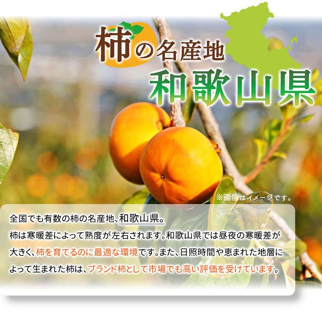 G7111_和歌山秋の味覚 富有柿 約4kg 化粧箱入