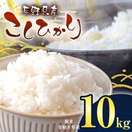 令和8年産 伊那市産 こしひかり 10kg(5kg×2袋）｜ 米 コシヒカリ こしひかり 白米 ご飯 お米 伊那 伊那産 長野県 ふるさと納税【021-58】