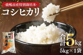 【令和7年産】鹿嶋市の子どもたちが食べている特別栽培米コシヒカリ（5kg×1袋）【お米 米 こしひかり 特別栽培 有機肥料 有機栽培 鹿嶋市 茨城県 白米 おにぎり ごはん 15000円以内】(KBS-6)