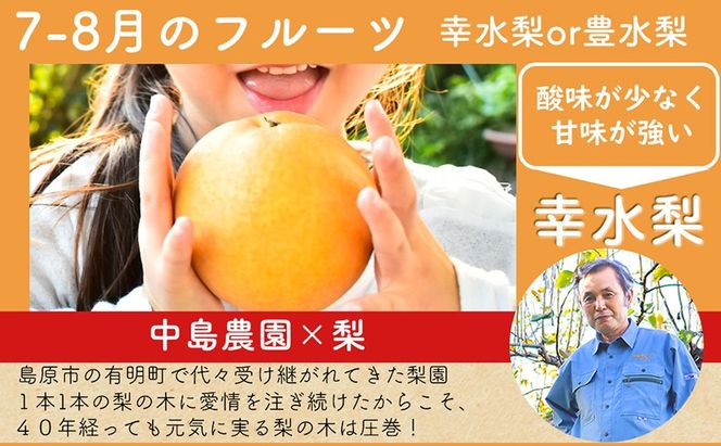 DH106 【令和9年度出荷分】【春～夏季】フルーツ定期便（全4回） ハウスびわ 小玉スイカ 小玉メロン 梨 [ 果物 フルーツ びわ すいか メロン ナシ 長崎県 島原市 ]