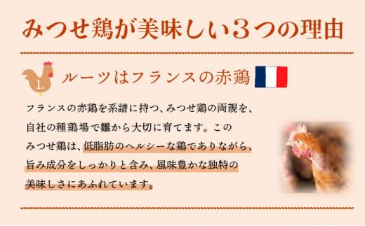 400g×4 みつせ鶏 手羽先(バラ凍結) B-966