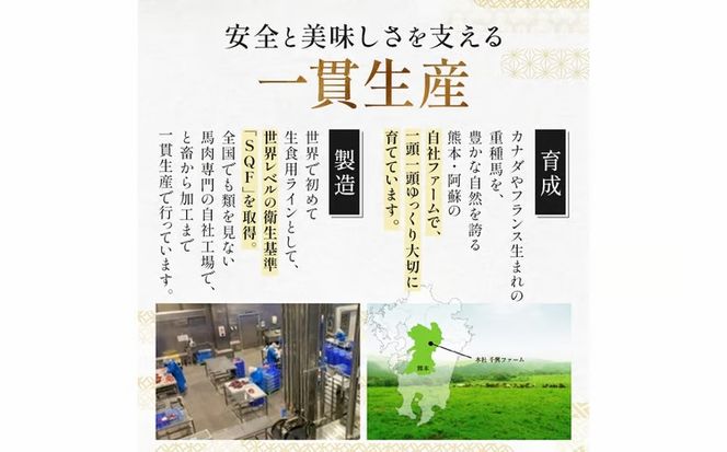 FK7-0345_ 鮮馬刺しスライス5種バラエティーセット 馬刺し 赤身 肉 馬肉