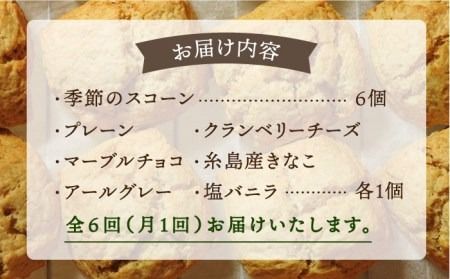 【全6回定期便】定番 ＆ 季節 の スコーン 12個セット 糸島市 / スコーン専門店キナフク 焼き菓子 焼菓子 洋菓子 スイーツ パン [AFA016] 洋菓子 焼き菓子 卵不使用 スコーン お菓子 自宅用 個包装 セット 詰め合わせ