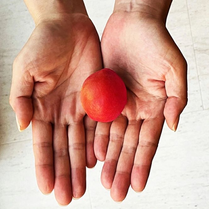 MIYAYOSHI　SILVER LABEL　No.13 No.16 No.19 large bottle 3P SET(A1113-1)