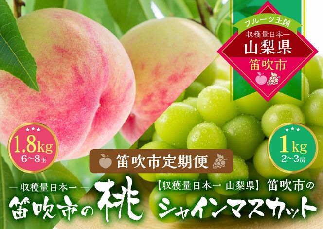 【2026年発送★先行予約】『山梨夏の味覚定期便』笛吹市産旬の桃とシャインマスカット各１回 167-014-26y