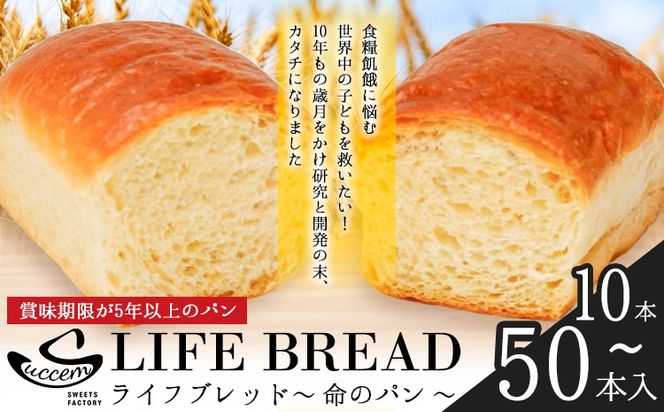 LIFEBREAD 選べる 10本 20本 50本 110g サクセム株式会社《30日以内に出荷予定(土日祝除く)》和歌山県 紀の川市 防災備蓄 賞味期限5年以上 ライフブレッド ブレッド---wsk_sks2_30d_24_24000_10---
