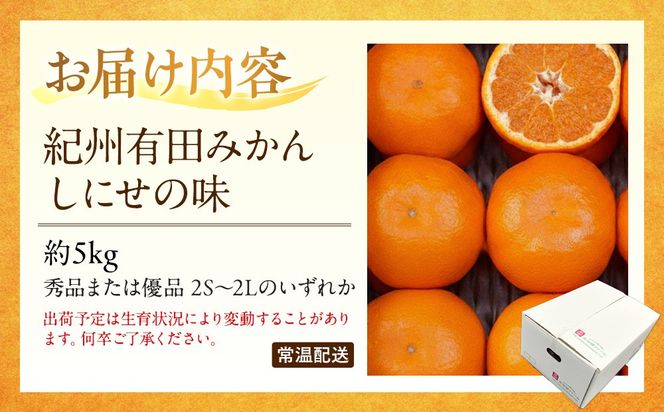 有田みかん しにせの味 約5kg 2S～2Lのいずれか 秀品または優品 K003