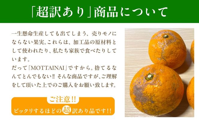 【先行受付】【※超訳あり】清見オレンジ 5kg ※離島への配送不可 （2026年3月中旬より順次発送） IKTAB009 