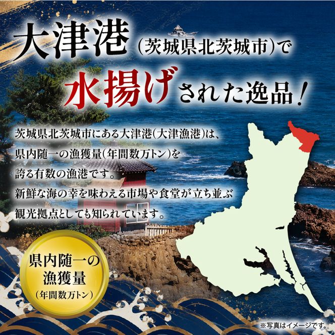 丸干し超特大めひかり 24本（約850ｇ前後 ）【めひかり メヒカリ 特大サイズ 魚 海産物 茨城県 北茨城市 冷凍】（DM001）