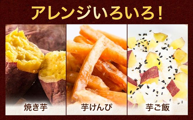 さつまいも 紅はるか 選べる 3.5kg～5kg《12月中旬-2月末頃出荷》熊本県 御船町 野菜 芋 さつま いも 焼き芋 送料無料---mifune_hss_4_3500g---