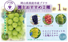 【2026年先行予約】岡山 花笑み農園　『園主おすすめぶどう2種セット』～シャインの親子セット～ 【hana065-02】