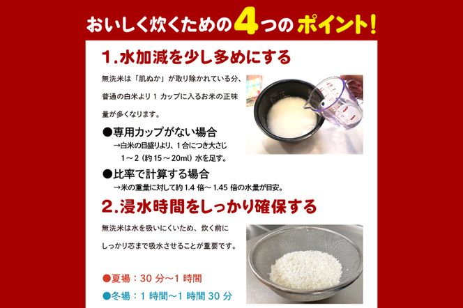 【選べる内容量】 ＜令和7年産＞ 無洗米 こしひかり 5kg タピオカ精米 コシヒカリ こしひかり 米 ごはん コメ お米 白米 精米 精米済み 国産 茨城県産