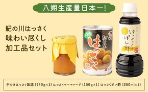 「紀の川はっさく」味わい尽くし加工品セット 一般社団法人 紀の川フルーツ観光局《90日以内に出荷予定(土日祝除く)》 和歌山県 紀の川市---wsk_frkanaji_90d_22_8000_3p---