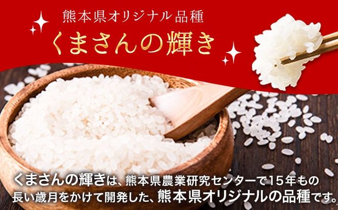 令和7年産 矢護川清流そだち(くまさんの輝き) 5kg 大津町矢護川おいしい米作り研究会 お米 熊本県 大津町《60日以内に出荷予定(土日祝除く)》---oz_kzk_2_5kg---