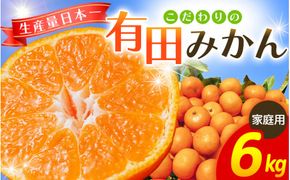 【2027年1月発送予約分】＼光センサー選別／ 【農家直送】【家庭用】こだわりの有田みかん 6kg＋150g(傷み補償分)  先行予約 有機質肥料100% サイズ混合 【1月発送】みかん ミカン 有田みかん 温州みかん 柑橘 有田 和歌山 ※北海道・沖縄・離島配送不可/みかん ミカン 有田みかん 温州みかん 柑橘 有田 和歌山 産地直送【nuk004-c-6-janH】