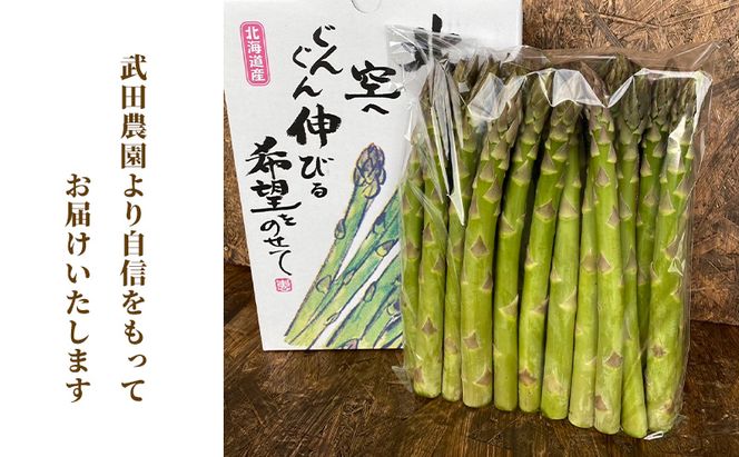 ［武田農園とれたて直送］2026年春～発送 グリーンアスパラ 2L 1kg やわらかくて抜群にあまい！北海道 富良野産 (アスパラガス アスパラ 野菜 新鮮 産地直送 先行予約 限定)