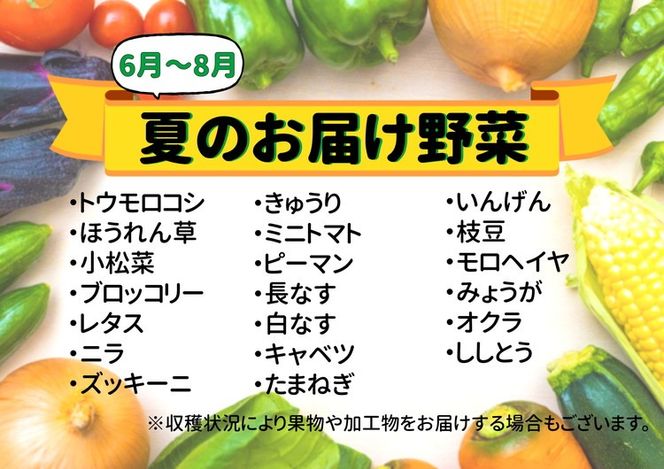 七宗町から発送　新鮮野菜詰めあわせセット(季節の野菜7～8種類) ※北海道・沖縄・離島への配送不可