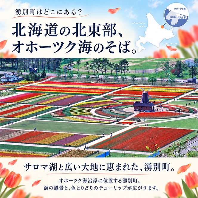 北海道湧別町 寄附のみの応援受付 1,000円コース（返礼品なし 寄附のみ 1000円）