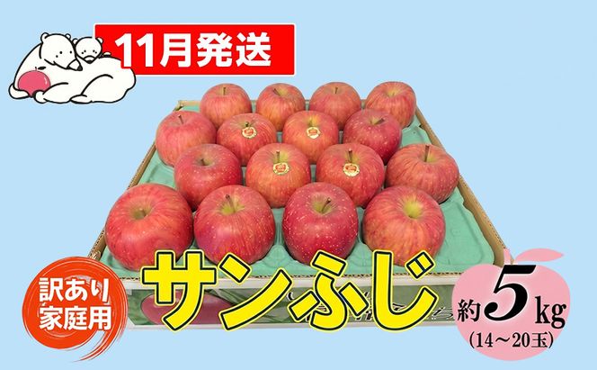 【11月発送】白熊 訳あり家庭用 サンふじ 約5kg 糖度13度 【青森りんご 果物 フルーツ 食後 デザート シャキシャキ ジューシー りんごの王様 】