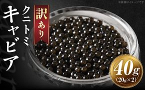 【訳あり】クニトミキャビア 40gセット(20g×2)_a0197_mc