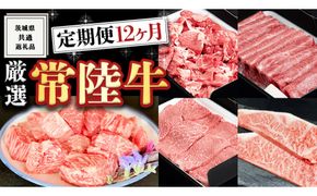 ＜ 定期便 ＞ 厳選 『 常陸牛 』 12ヶ月セット ( 茨城県共通返礼品 ) A5 A4 肉 焼肉 国産 霜降 サーロイン ヒレ もも ハンバーグ ステーキ すき焼き しゃぶしゃぶ [BM028us]
