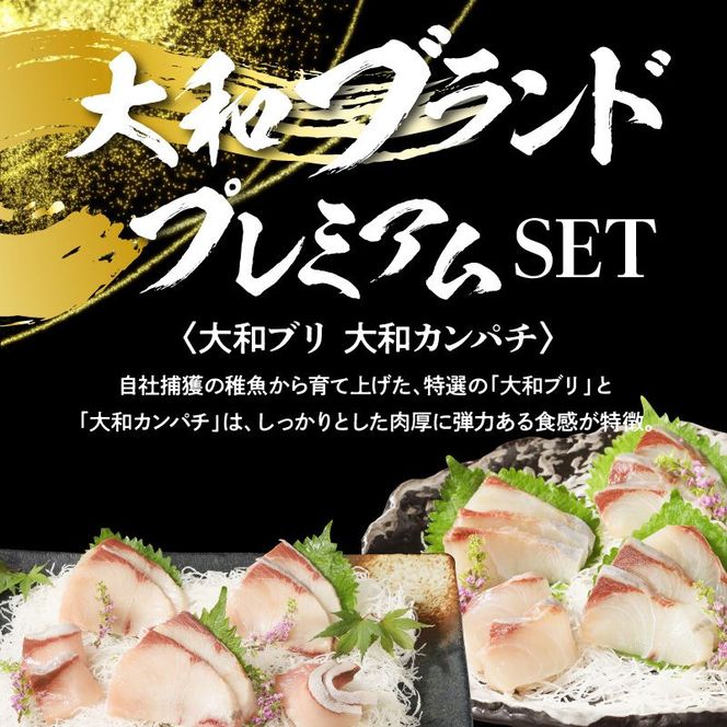 【大和海商】大和ブランドプレミアムSET N072-YA848