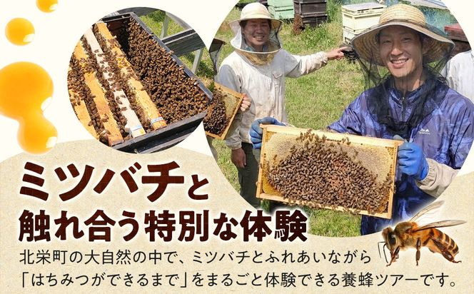 1282.【要予約 大人1名様用】あんどう養蜂 まるごと養蜂体験（約3時間）はちみつ600g付き 313726_BW019