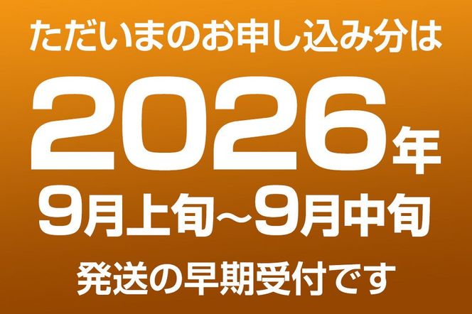《先行受付》梨 幸水 10kg前後（3L～2L）28～32玉 秋田なまはげ農業協同組合 秋田県 男鹿市 [先行受付 なし ナシ 果物 くだもの 幸水 夏]|23_nhn-081001
