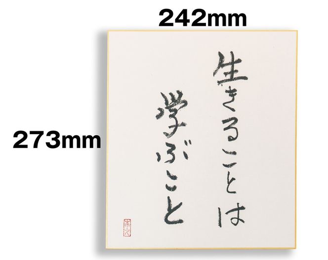 オールケアサイン色紙【生きることは学ぶこと】｜名言 格言 詩人 言葉 ことば 夢 勇気 元気 メッセージ [2566]