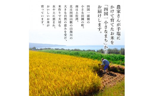 ★令和7年産 精米★【四国一小さなまち】 田野米 5kg（5kg×1袋）