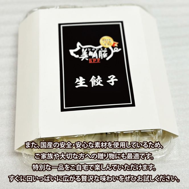 【数量限定】【最短7日発送】ブランド豚 肉屋が作る 美明豚 生餃子 24個入り×2パック 肉 豚肉  国産 茨城県産 すぐ 届く(HI-5)