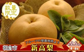 フルーツの里の直売所より 新高梨 2.5kg ナシ 果物 先行予約 
