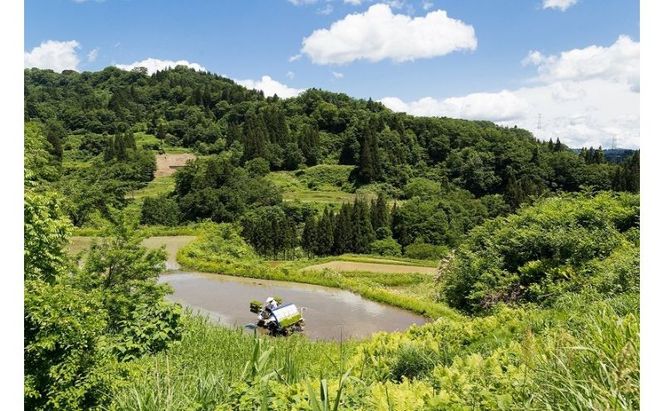 【玄米】江戸伝承厳選棚田米５kg お米 コメ 