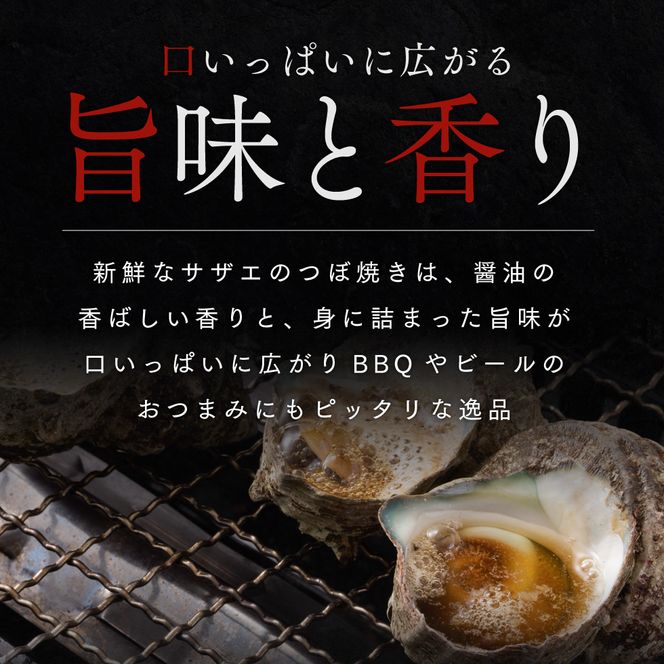 活さざえ 約2kg セット 詰め合わせ 若狭湾産 活 さざえ サザエ 貝 貝類 魚介 魚介類 海鮮 海鮮セット 新鮮 福井 福井県 若狭町
