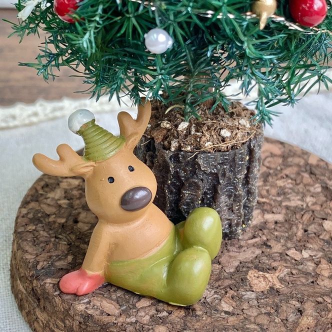 プリザーブドフラワー　レンヌ　春日部市　シュガーパイン(AJ265)