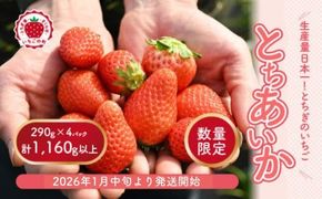 【先行予約】いちご 厳選！さくら市産 とちあいか（290g×4パック） ※2026年1月中旬～3月下旬頃に順次発送予定