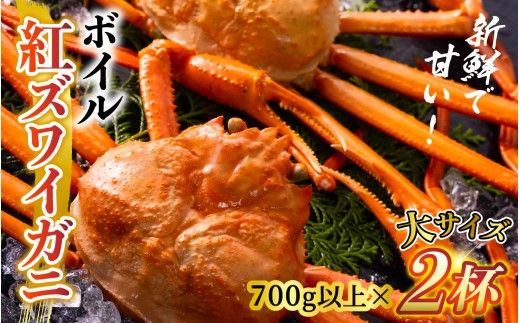 【先行予約】ボイル紅ズワイガニ 大サイズ 冷蔵配送 【26年度10月以降順次配送】川村水産【ゆで蟹 焼きがに 紅ズワイガニ カニ ズワイガニ 紅ずわいがに かに 冷蔵 北陸 】