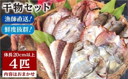 ysz Zbg 4_ i 1C 20cm ȏ j }_C styhہz [APD006]