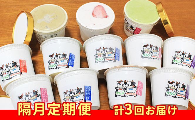 【隔月定期便・合計3回お届け】オリジナル  ジェラ−トアイス12個セット お菓子 ジェラトアイス 