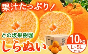 不知火 ( デコポンと同品種 ) しらぬい 約10kg (L～5Lサイズ) どの坂果樹園《2027年2月中旬-4月上旬頃出荷》 和歌山県 日高町 しらぬい 不知火 デコポン でこぽん 旬 果物 フルーツ 柑橘 産地直送 送料無料---wsh_dsk20_2c4j_24_20000_10kg---
