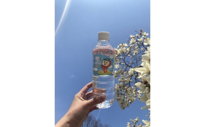 みずほの水 | 水  防災 備蓄 人気 ペットボトル 10000円 国産 長期保存 飲料水 アウトドア キャンプ