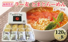 ラーメン 福岡県産 ラー麦 とまとらーめん 1ケース 麺 