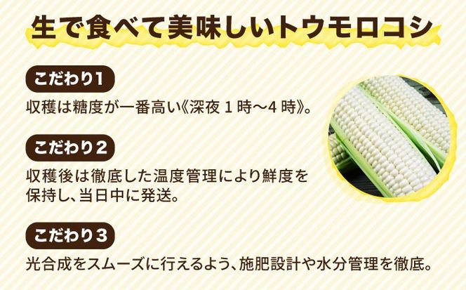 【先行予約】糸島産 トウモロコシ 「もきっこ」 白 (5本前後) 【2026年6月下旬以降順次発送】糸島市 / 内田農業 とうもろこし コーン [AZH005] とうもろこし 野菜 コーン スイートコーン 甘い ホワイト 白 トウモロコシ