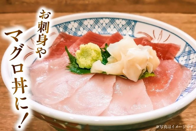 特撰 トロビンチョウ 300g [川印 村田漁業 宮城県 気仙沼市 20563396] 魚介類 魚貝 魚介 鮪 まぐろ マグロ トロ びんちょう ビンチョウ