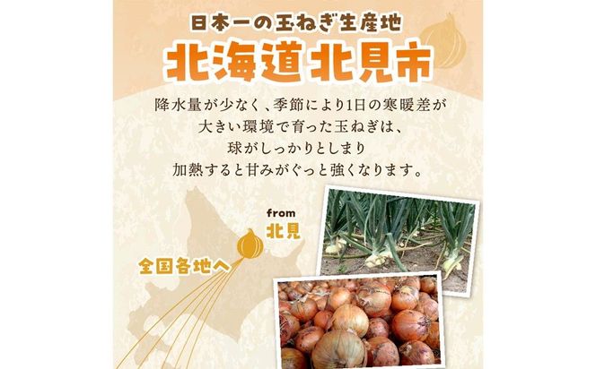 【予約：2026年10月から順次発送】日本一の生産地！北海道北見市の玉ねぎ 5kg！スープ2本付き♪ ( 玉ねぎ 玉葱 たまねぎ タマネギ オニオン スープ 即席 料理 )【164-0006-2026】