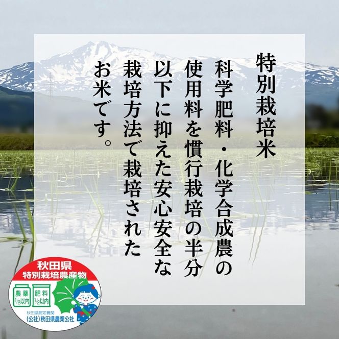 令和7年産11月から発送 特別栽培米 鰰米 コシヒカリ にかほ 精米 10kg