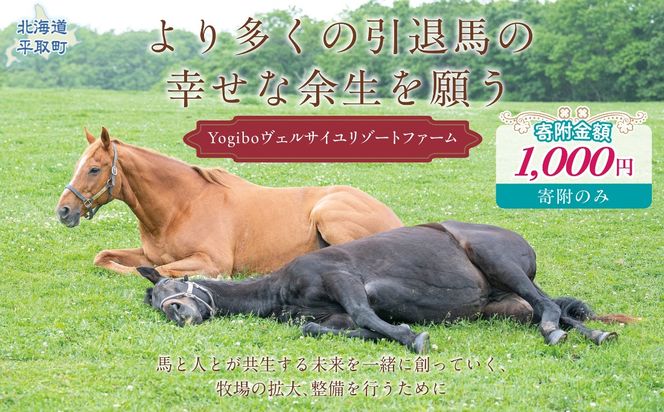 【千円コース 返礼品無し】より多くの引退馬の幸せな余生を願う　Yogiboヴェルサイユリゾートファーム BRTV024-01